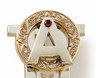 Aoii badge